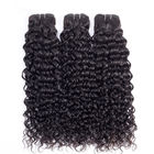 Natural Indian Water Wave 100 Unprocessed Virgin Hair Extensions