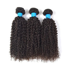 Kinky Curly Malaysian Hair Extensions / Unprocessed Virgin Hair Bundles