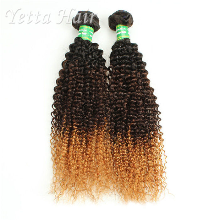 Colored Peruvian Virgin Hair Body Wave / Three Tone  Kinky Curly Hair Extensions